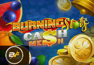 Burning Slots Cash Mesh