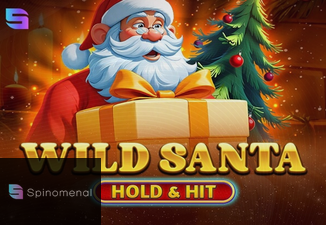 Wild Santa - Hold & Hit